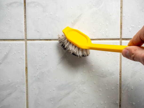 Best Kitchen Mold Remediation in Asbury Park, NJ
