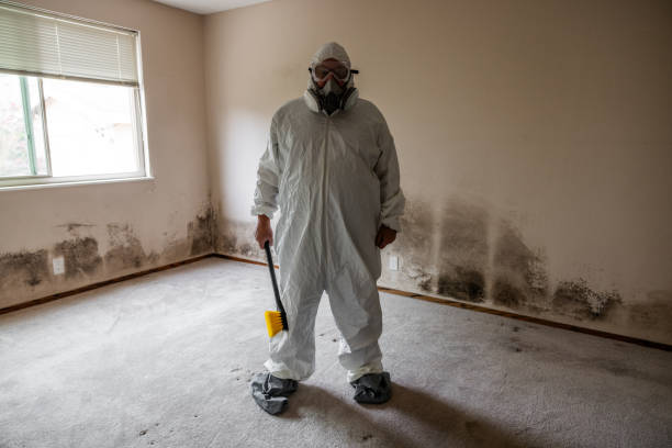 Best White Mold Remediation in Asbury Park, NJ